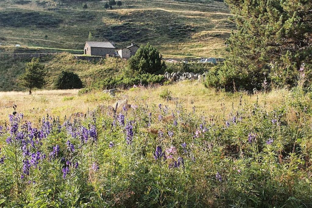 Acollidor Estudi Amb Encant Nordic I Amb Parquing, Al Costat De Grandvalira Canillo Eksteriør bilde